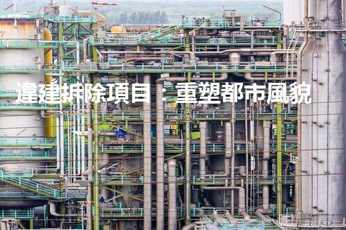 違建拆除項目：重塑都市風貌，共建和諧家園